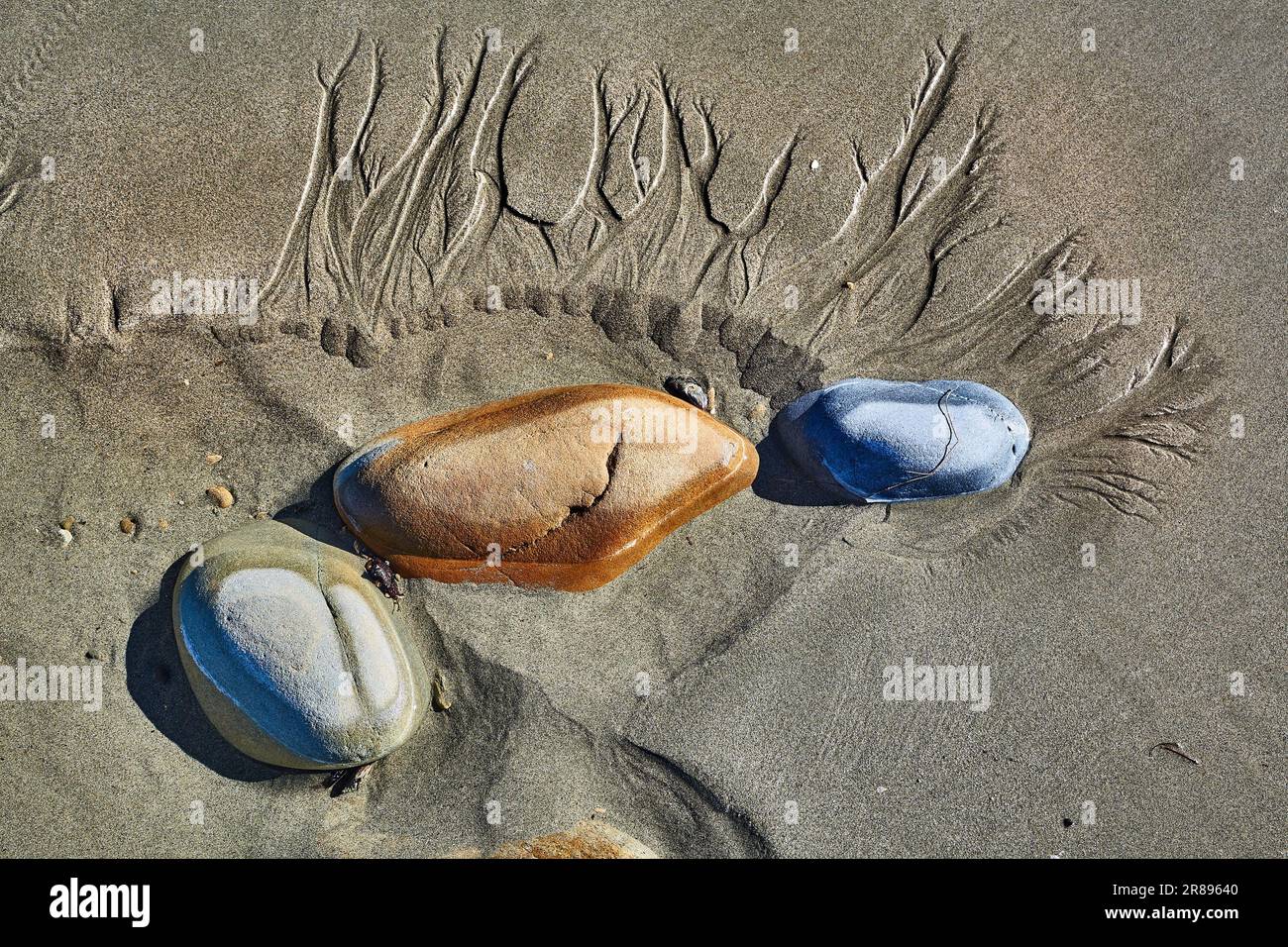 Pierres dans le sable humide à une plage Banque D'Images