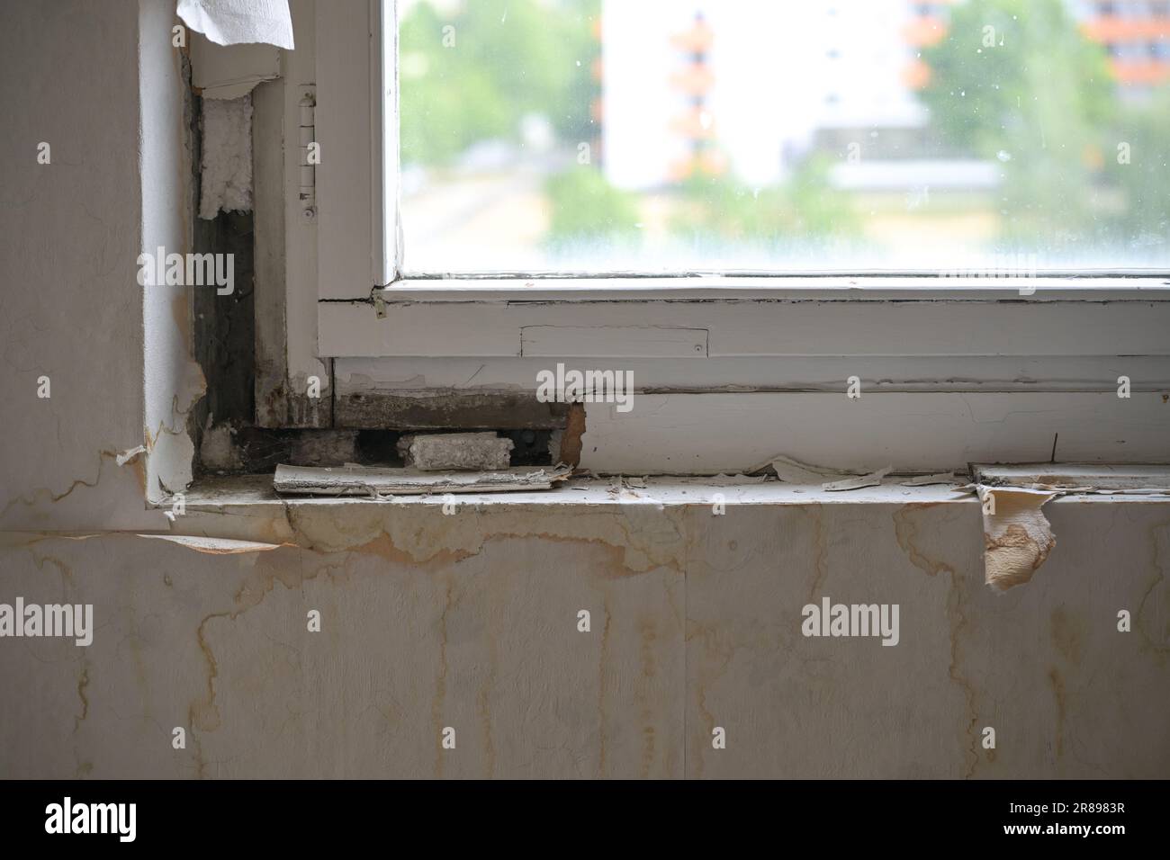 Soffit de fenêtre endommagé avec moule noir dû à l'humidité dans un ancien appartement public de location à la recherche de rénovation, de logement, d'architecture et de construction Banque D'Images