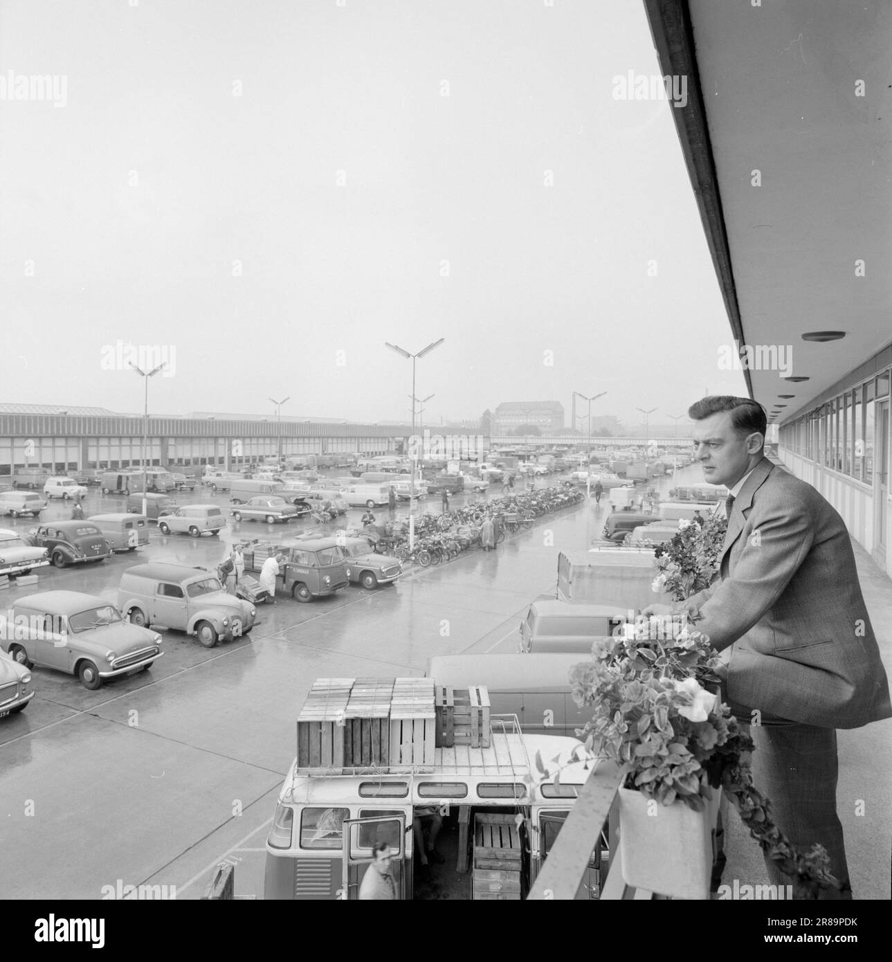 Actuel 33-3-1960: Carrière en rouge, blanc et vert le jeune homme de Drammen a tout le grand Copenhague dans son régime. Bjørn Lindstad est directeur du marché de gros le plus moderne d'Europe, en deux ans également l'un des plus importants au monde. Le directeur général et l'ex-Drammen Bjørn Lindstad contrôlent le chiffre d'affaires sur le plus grand marché de gros d'Europe, dont le tableau ne donne qu'une petite partie. Photo: Ivar Aaserud / NTB / Aktuell ***PHOTO NON TRAITÉE*** Banque D'Images