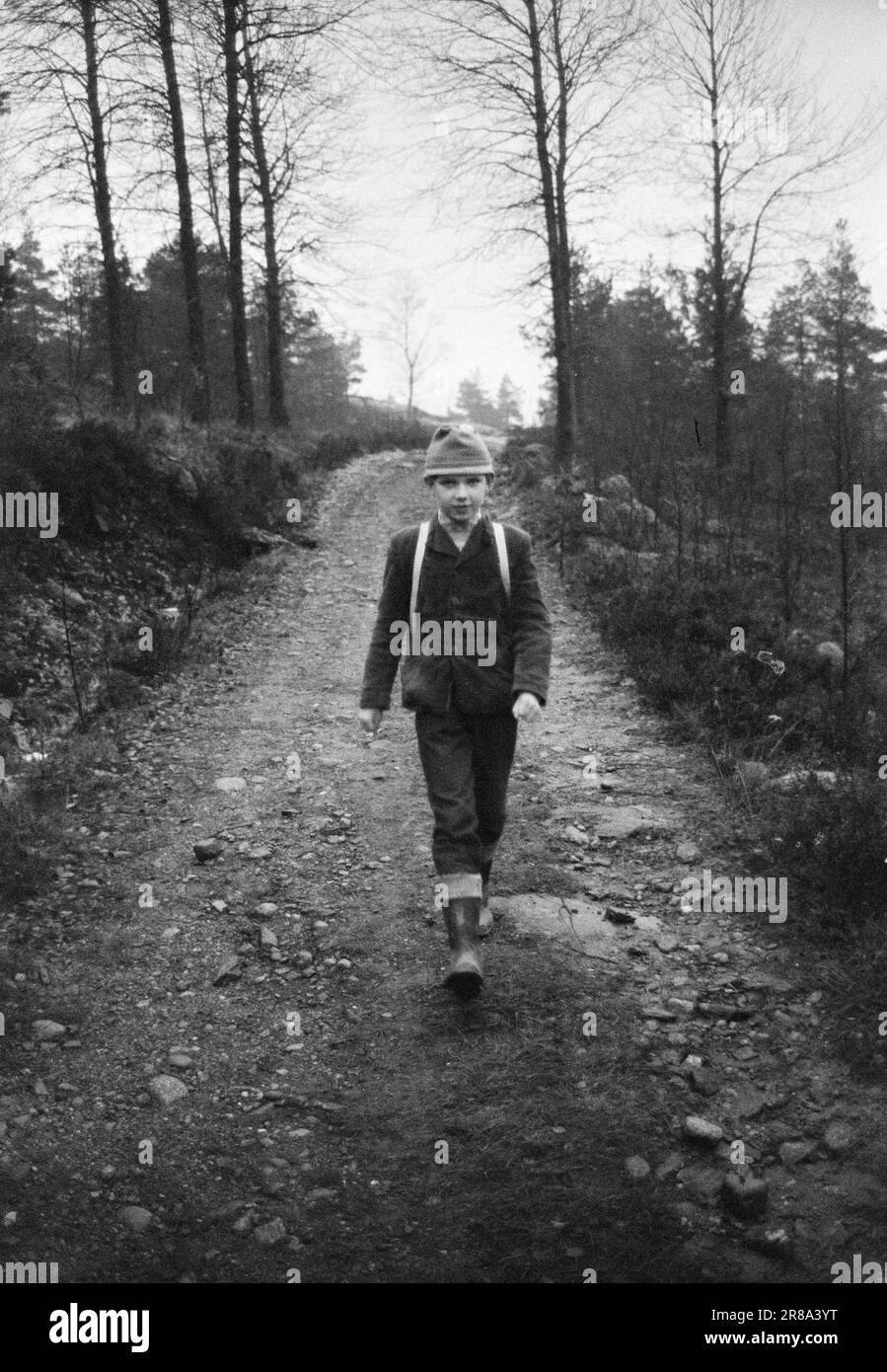 Réel 53-5-1960: Argent aspergé sur les enfants de l'école la route de l'école devient une banque de pigeons pour les enfants en IDD. Ceux qui vont loin obtiennent 25 øre par kilomètre. Arild fait un mile chaque jour de l'école. Maintenant il peut marcher avec confiance - il obtient de l'argent de marche. Dix ans et une heure et demie de marche à travers la forêt avant d'arriver à l'autobus scolaire. Arild ne rencontre jamais un être humain sur cette route, à la hauteur d'un renard effrayé ou d'un oiseau de forêt. Photo: Ivar Aaserud / Aktuell / NTB ***PHOTO NON TRAITÉE*** Banque D'Images