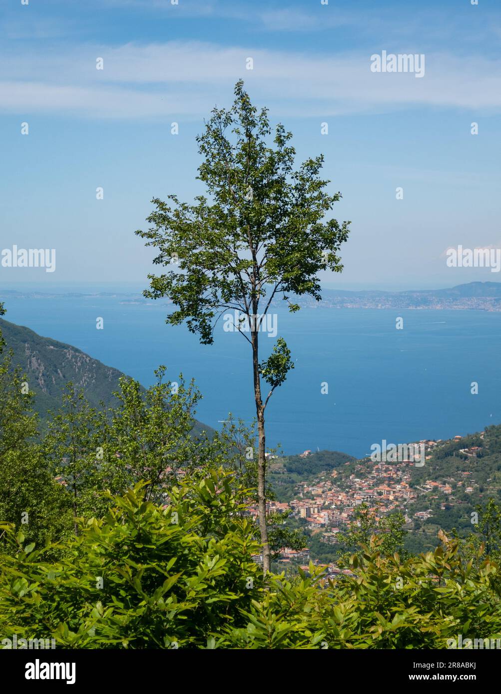 Vue sur les collines autour de San Lazzaro au-dessus d'Amalfi, Salerne dans la région de Campanie, Italie Banque D'Images