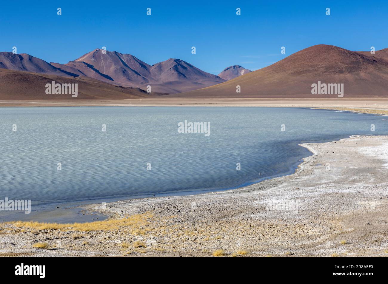 Pittoresque Laguna Blanca, juste un spectacle naturel tout en parcourant la route pittoresque de la lagune à travers l'Altiplano bolivien en Amérique du Sud Banque D'Images