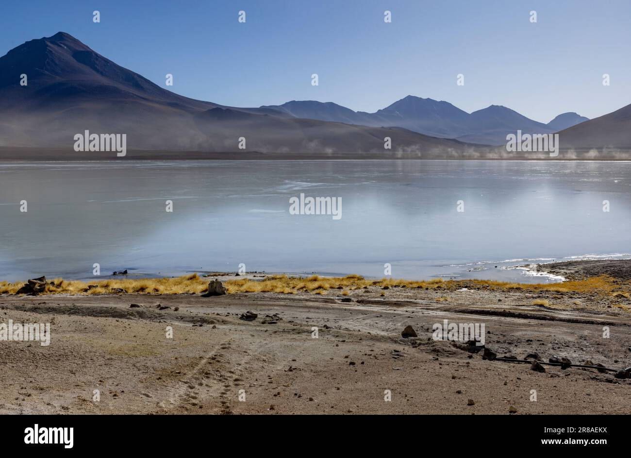 Pittoresque Laguna Blanca, juste un spectacle naturel tout en parcourant la route pittoresque de la lagune à travers l'Altiplano bolivien en Amérique du Sud Banque D'Images