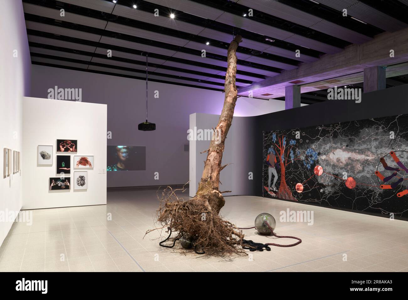 Installation vue d'Otobong Nkanga, cher Terre: Art et espoir en temps de crise Hayward, Galerie, Londres Banque D'Images