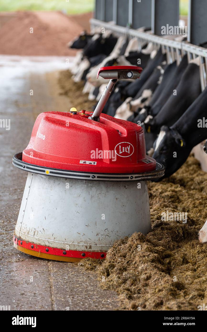 Lely Juno, un robot conçu pour pousser l'ensilage devant le bétail lorsqu'il se nourrit. Dumfries, Royaume-Uni. Banque D'Images