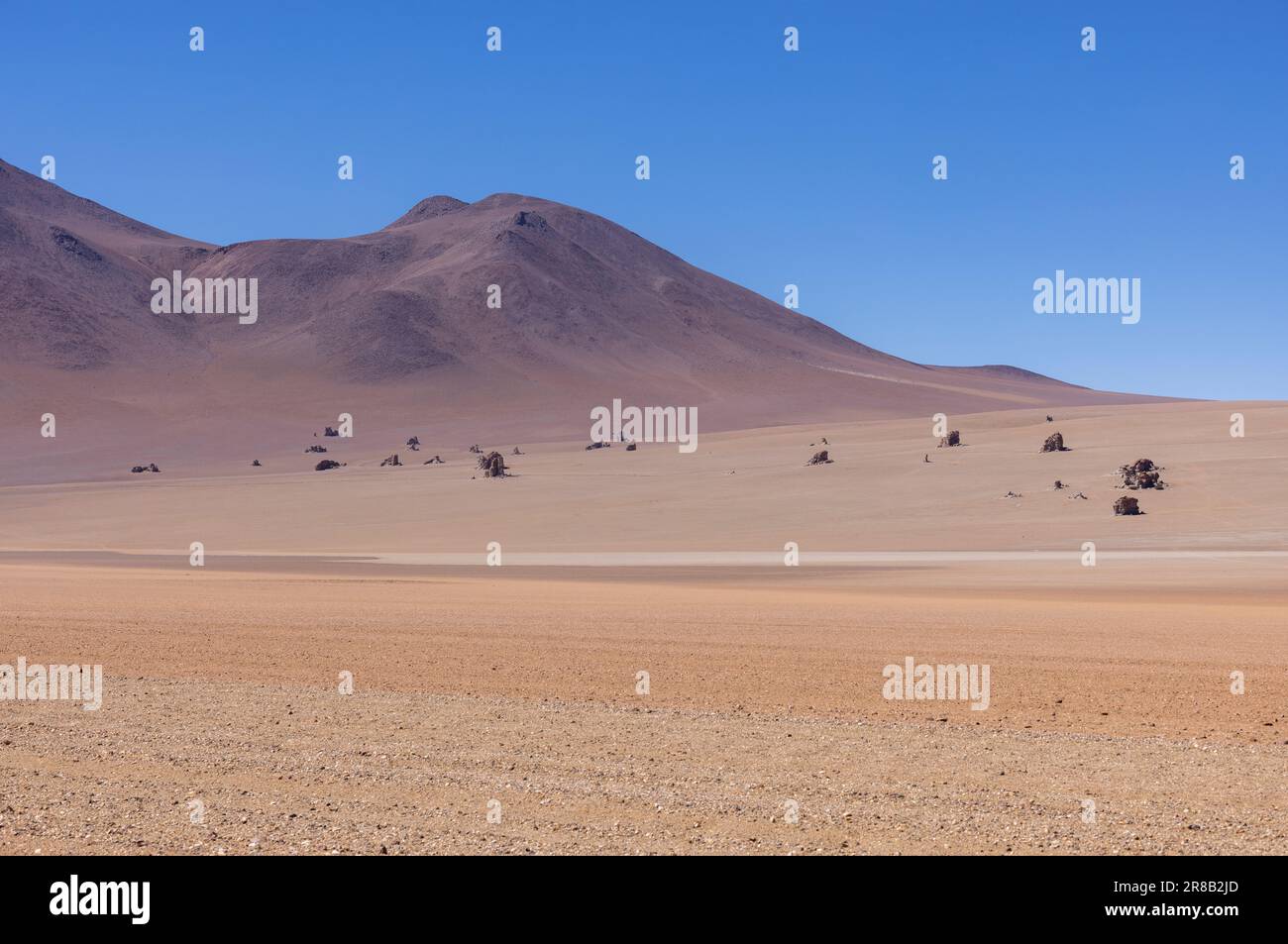 Pittoresque désert de Salvador Dali, juste un spectacle naturel tout en parcourant la route pittoresque de la lagune à travers l'Altiplano bolivien en Amérique du Sud Banque D'Images