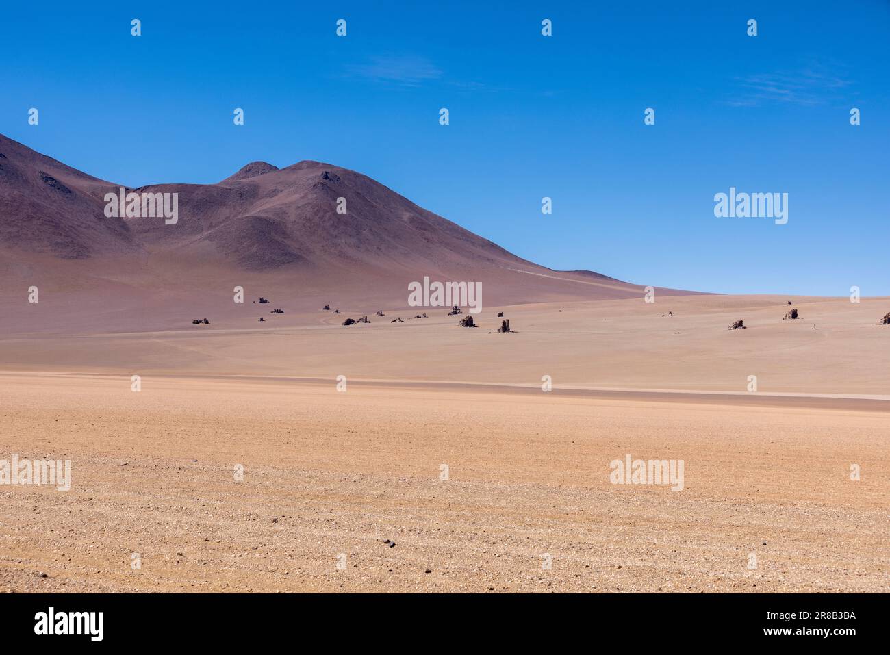 Pittoresque désert de Salvador Dali, juste un spectacle naturel tout en parcourant la route pittoresque de la lagune à travers l'Altiplano bolivien en Amérique du Sud Banque D'Images