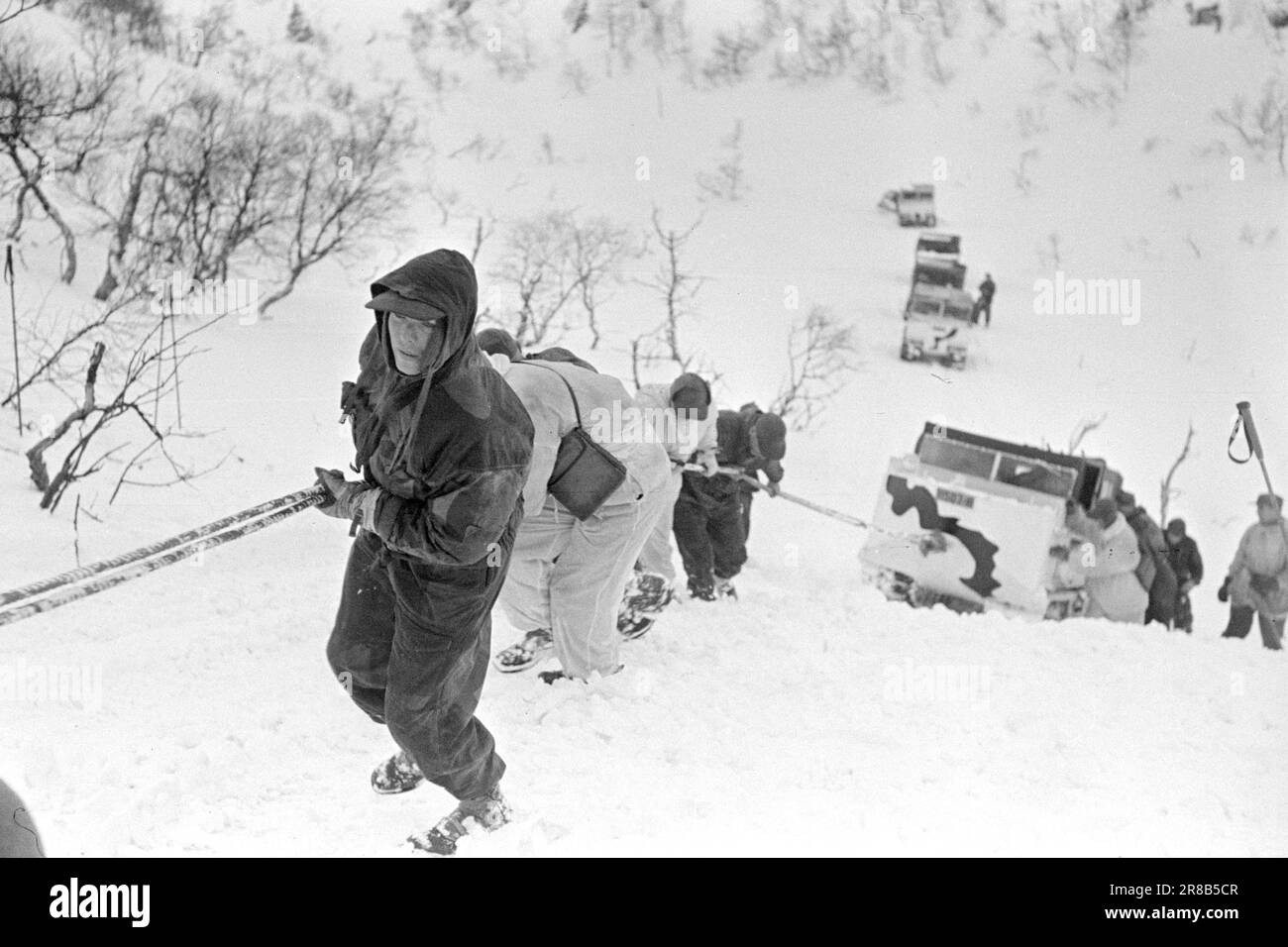 Réel 06-1950: Marche de montagne exigeante.les étudiants de l'École de commandement pour l'infanterie et le cours du sergent, 450 hommes, ont été sur une marche de montagne de six jours avec l'équipement complet d'hiver et l'armement. - Les belettes sont probablement bonnes, mais parfois elles ont besoin d'aide. Puis il est nécessaire de prendre en place de sorte qu'il se fissure et de donner à la puissance un petit surplus. Photo; Sverre A. Børretzen / Aktuell / NTB ***PHOTO NON TRAITÉE*** Banque D'Images