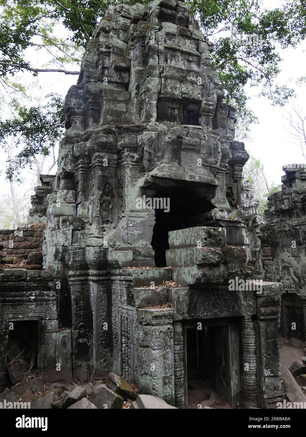 Ruines du temple Ta Prohm, province de Siem Reap, site du complexe du temple d'Angkor classé au patrimoine mondial par l'UNESCO en 1192, construit en 1186 par le roi Jayavarma Banque D'Images