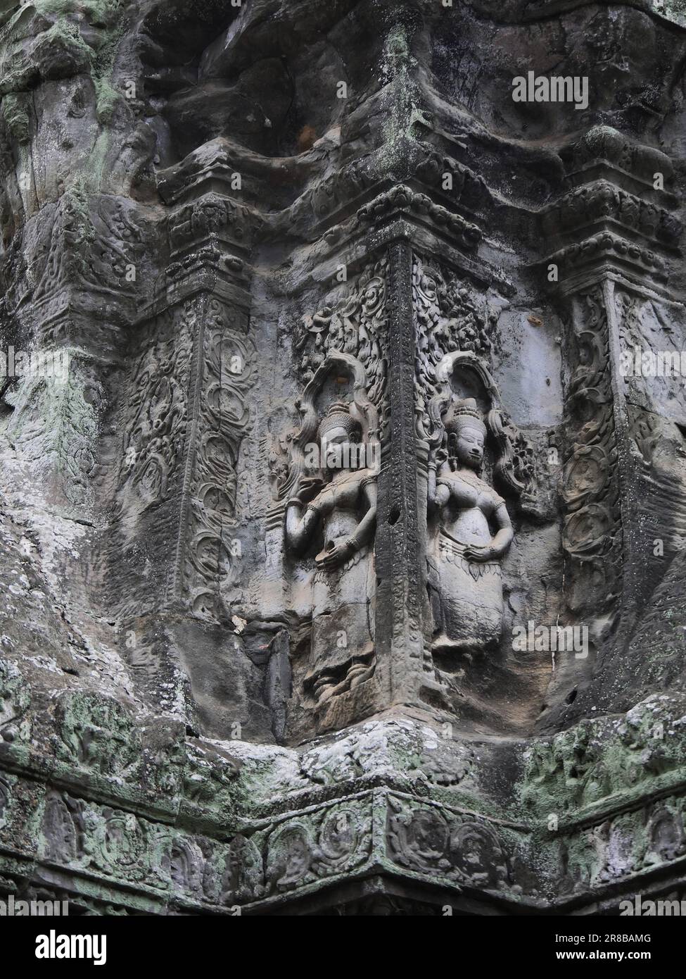 Ruines du temple Ta Prohm, province de Siem Reap, site du complexe du temple d'Angkor classé au patrimoine mondial par l'UNESCO en 1192, construit en 1186 par le roi Jayavarma Banque D'Images