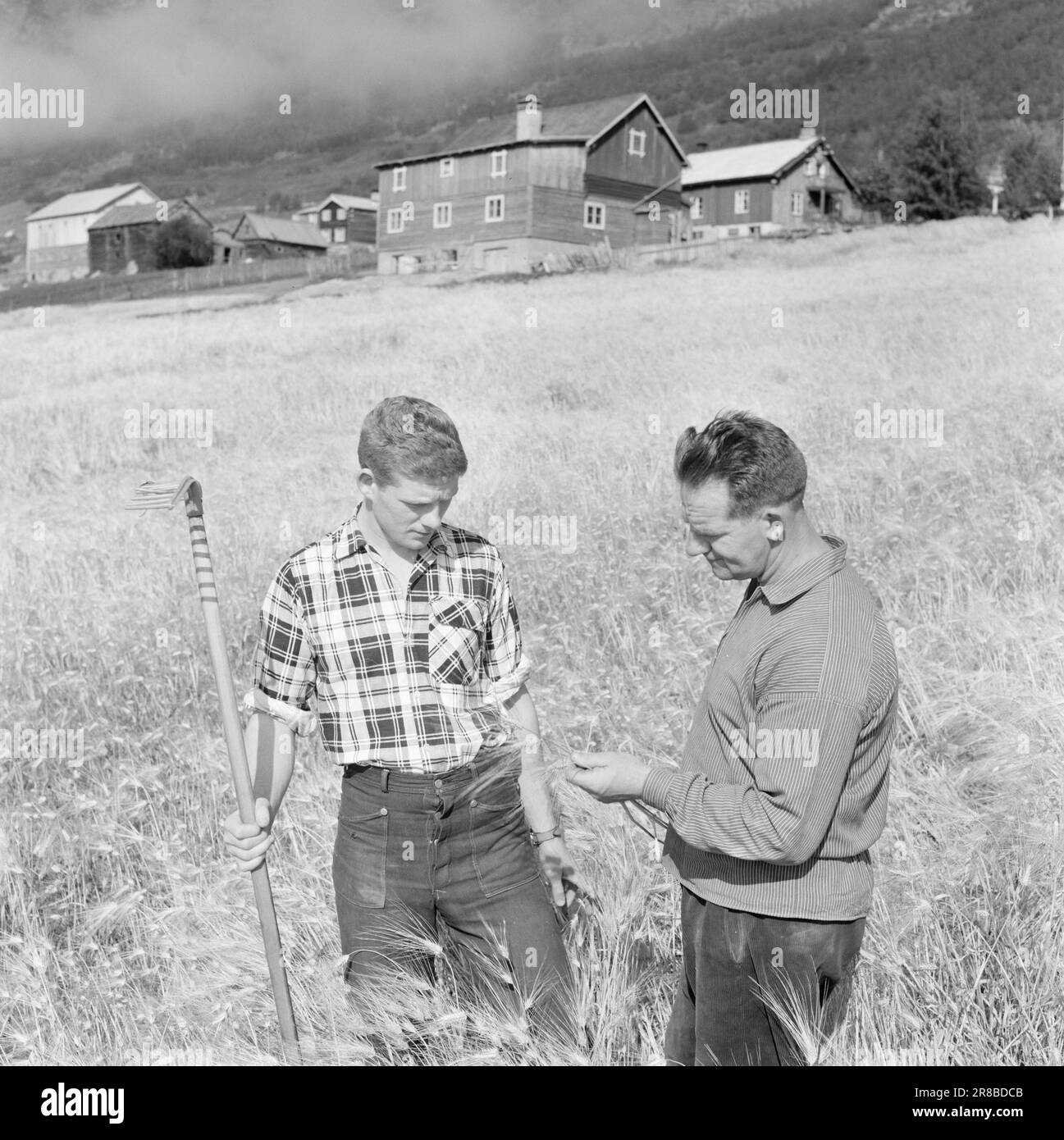 Courant 39-4-1960: Étudiant de l'agriculteur à l'étudiant de Tigerstaden Lars Ramstad est transplanté du village de montagne de Skjåk aux blocs de béton à Oslo. « Dur », dit-il, « mais ça fonctionnera ». Lars quittera le délicieux Skjåk pour cinq ou six ans, mais d'abord la maison doit être battue. Photo: Ivar Aaserud / Aktuell / NTB ***PHOTO NON TRAITÉE*** Banque D'Images