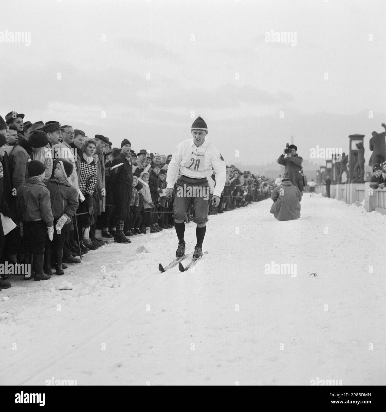 Courant 3-5-1960: Long chemin vers le haut depuis qu'il était un petit garçon, Einar Østby (n° 33) s'est fixé les Jeux olympiques comme son but. Il connaît le prix des places près de Sixten Jernberg (No 28). Dans la course de Monolith, Østby a obtenu une place sur l'équipe olympique. Le roi de ski Sixten Jernberg a gardé la couronne - une demi-minute avant le meilleur norvégien, Oddmund Jensen. Le sentier est passé par le pont de Vigelands pour la première fois, où il semblait que même les statues se sont jointes en applaudisant sur le populaire. Pour l'instant, il n'est pas clair qui sera son successeur. Einar Østby est l'un des candidats. Photo Banque D'Images