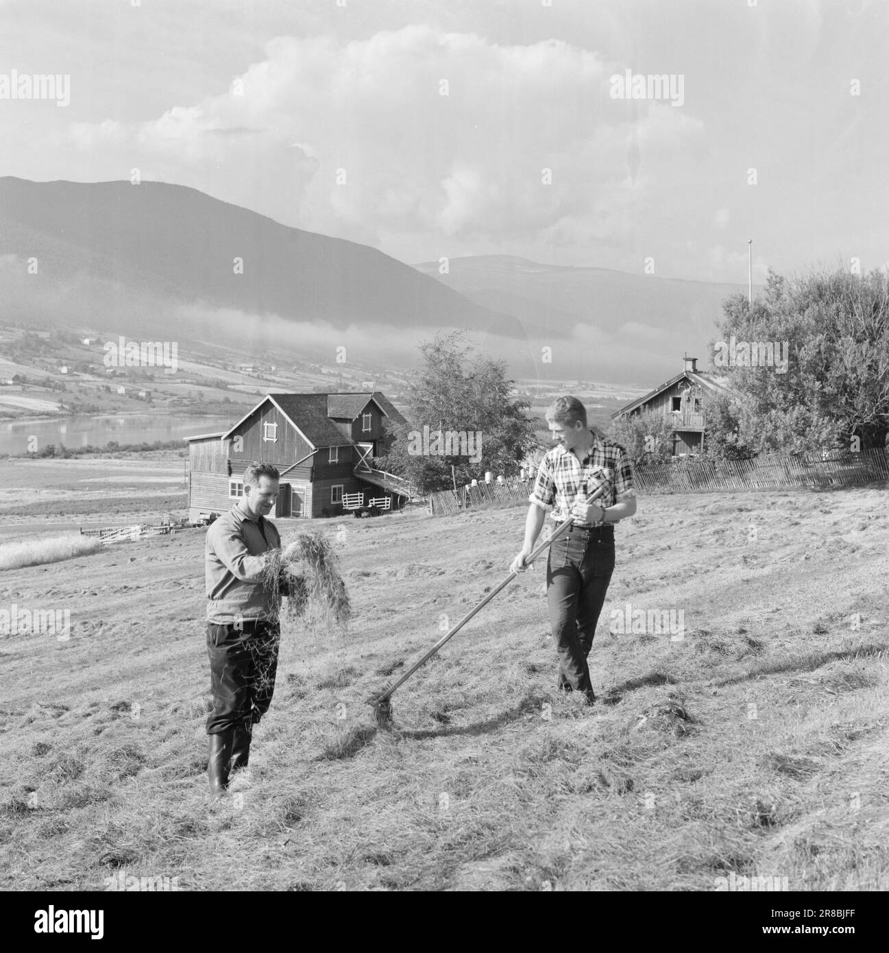 Courant 39-4-1960: Étudiant de l'agriculteur à l'étudiant de Tigerstaden Lars Ramstad est transplanté du village de montagne de Skjåk aux blocs de béton à Oslo. « Dur », dit-il, « mais ça fonctionnera ». Lars quittera le délicieux Skjåk pour cinq ou six ans, mais d'abord la maison doit être battue. Photo: Ivar Aaserud / Aktuell / NTB ***PHOTO NON TRAITÉE*** Banque D'Images