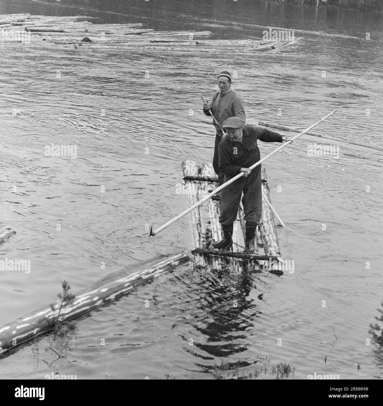 Actuel 26-1-1960: Le bois doit être livré la rivière est toujours la voie de transport la plus importante pour le bois. S'il est possible de perdre son cœur - alors nous l'avons fait maintenant. À Grue Finnskog – les vastes étendues de forêt au nord-ouest de Kongsvinger. Si quelque chose est la forêt troll, elle doit être ici. Current regarde la vie en finnskogen pendant la période flottante. Brede Nordli et Peder Danielsen descendent Løvhaugsåa pour l'inspection. Photo: Aage Storløkken / Aktuell / NTB ***PHOTO NON TRAITÉE*** Banque D'Images
