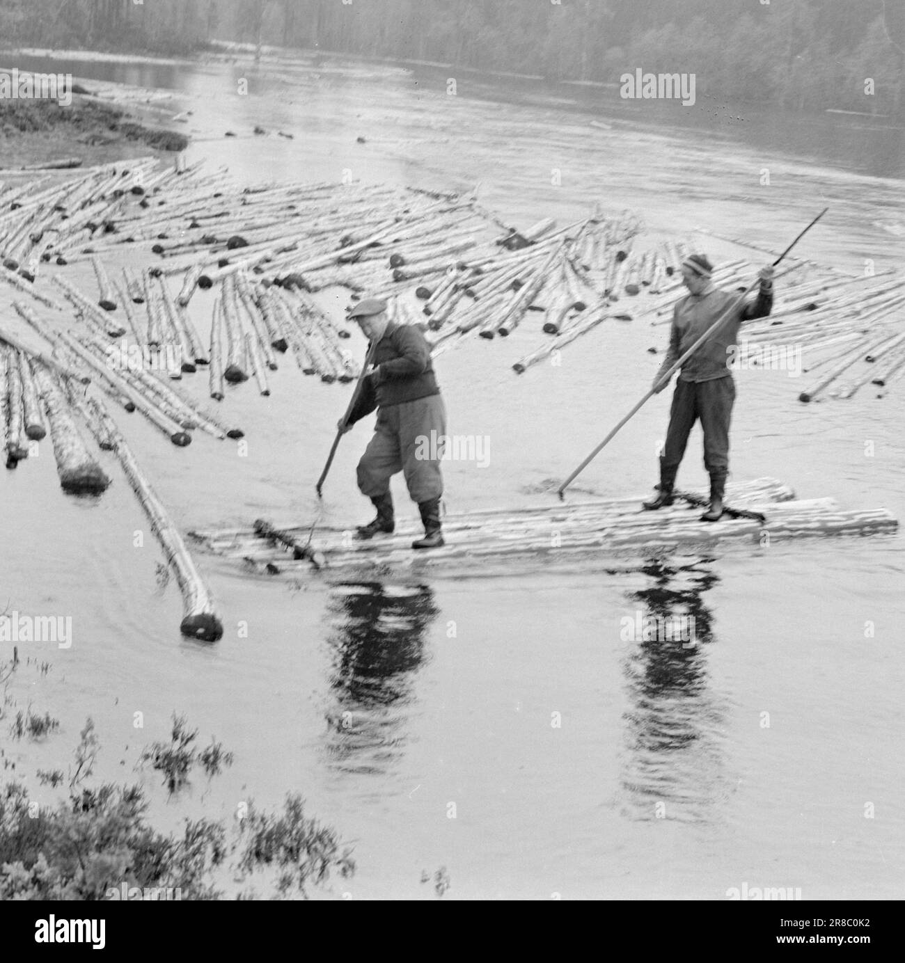 Actuel 26-1-1960: Le bois doit être livré la rivière est toujours la voie de transport la plus importante pour le bois. S'il est possible de perdre son cœur - alors nous l'avons fait maintenant. À Grue Finnskog – les vastes étendues de forêt au nord-ouest de Kongsvinger. Si quelque chose est la forêt troll, elle doit être ici. Current regarde la vie en finnskogen pendant la période flottante. Brede Nordli (à droite) et Peder Danielsen (à gauche) descendez le Løvhaugsåa pour l'inspection. Photo: Aage Storløkken / Aktuell / NTB ***PHOTO NON TRAITÉE*** Banque D'Images