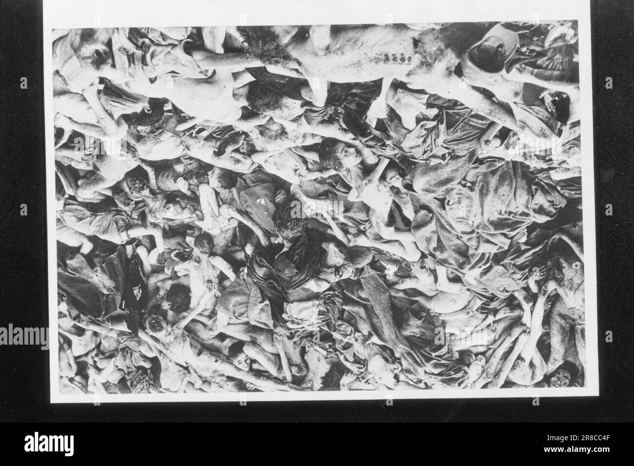 Effectif 27-5-1960: Le bourreau pris après 15 ans de chasse intense, Adolf Eichmann a été capturé par un groupe de commando israélien à Buenos Aires, en Argentine. Eichmann est maintenant détenu en Israël jusqu'à ce que le procès contre lui arrive. Les chambres à gaz et les tombes de masse étaient le travail de sa vie. Photo: Aktuell / NTB ***PHOTO NON TRAITÉE*** Banque D'Images