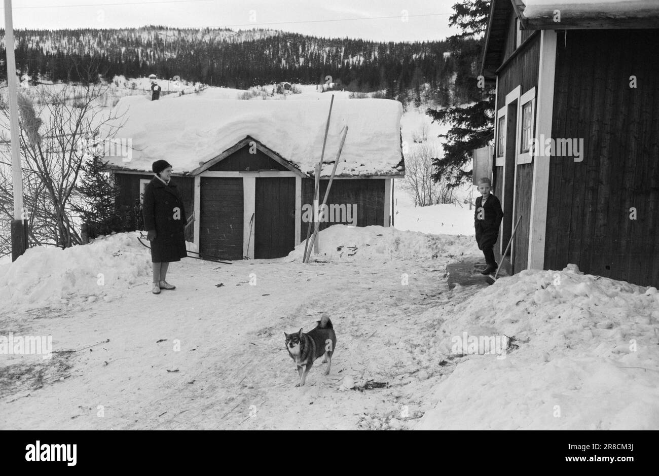 Actuelle 5-2-1960: Sœur du village elle va de ferme en ferme avec des soins de santé et sociaux. Photo: Sverre A. Børretzen / Aktuell / NTB ***PHOTO NON TRAITÉE*** Banque D'Images