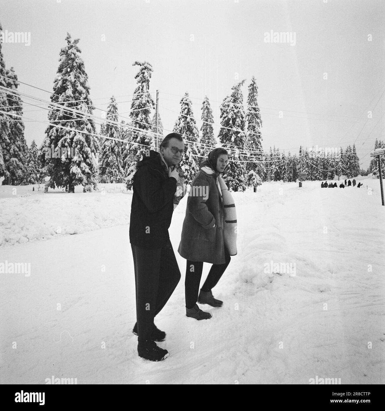 Courant 2-11-1960: Ingrid Bergman et les enfants dans la neige norvégienne début de Noël, par temps gris et pluie, toute la presse norvégienne s'est réunie à l'Østbanestasjonen à Oslo. La réception concernait Ingrid Bergman et ses trois enfants Rossellini. La star du monde était venue célébrer l'hiver norvégien. Pendant un bref instant, Ingrid Bergman, convaincue par son mari Lars Schmidt, était prête à poser pour les photographes. La légende suivante pourrait être imprimée: Ingrid Bergman et Lars Schmidt à l'école de ski de Holmenholden. Photo: Aage Storløkken / Aktuell / NTB ***PHOTO PAS D'IMAGE Banque D'Images