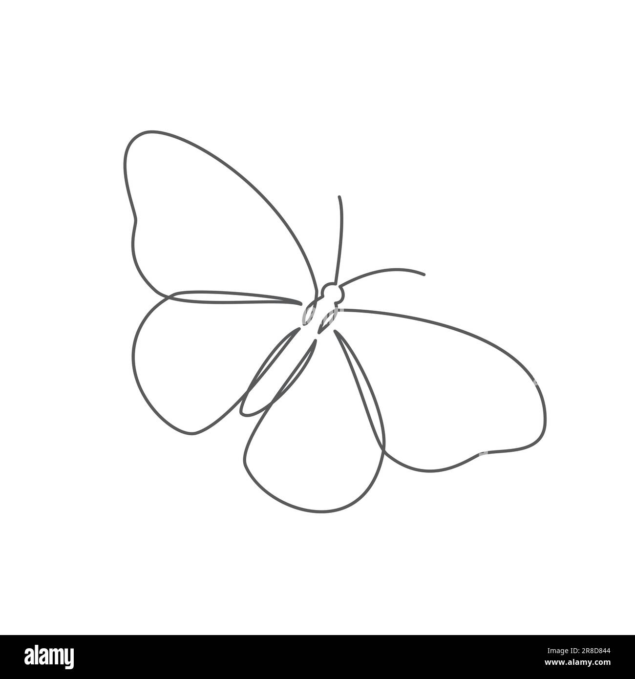 Papillon une ligne dessinant sur fond blanc Illustration de Vecteur