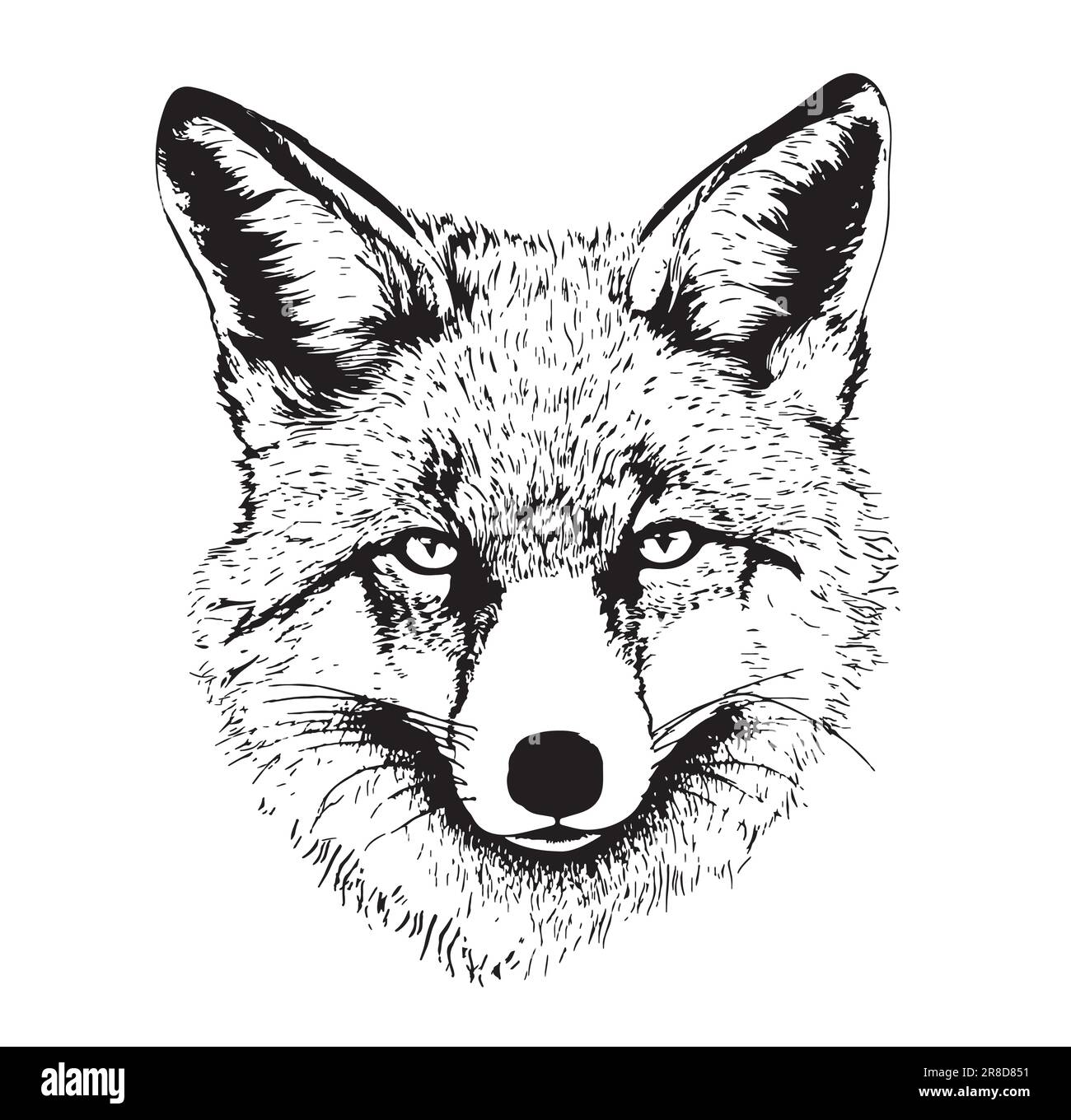 Tete De Renard Dessin