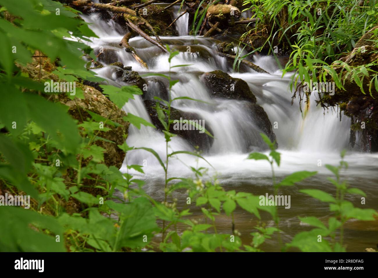 Chute d'eau au parc national Governor Dodge dans le Wisconsin Banque D'Images