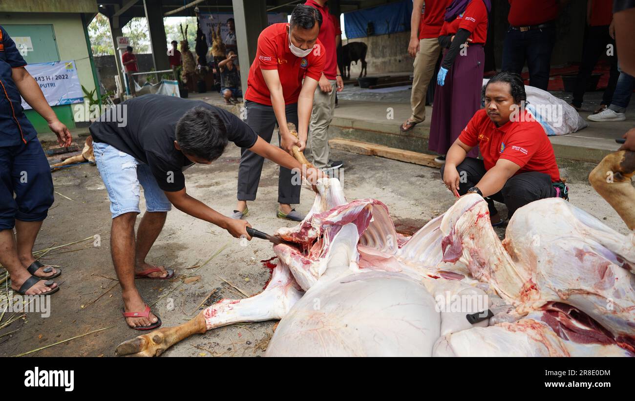 le processus de coupe de la viande sacrificielle pour chaque partie Banque D'Images