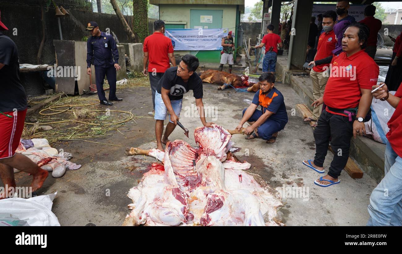 le processus de coupe de la viande sacrificielle pour chaque partie Banque D'Images