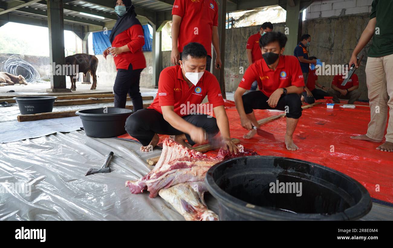 le processus de coupe de la viande sacrificielle pour chaque partie Banque D'Images