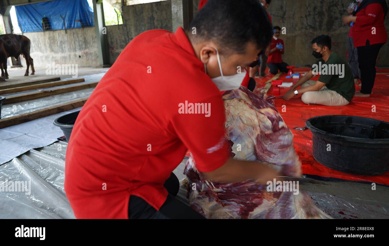 le processus de coupe de la viande sacrificielle pour chaque partie Banque D'Images