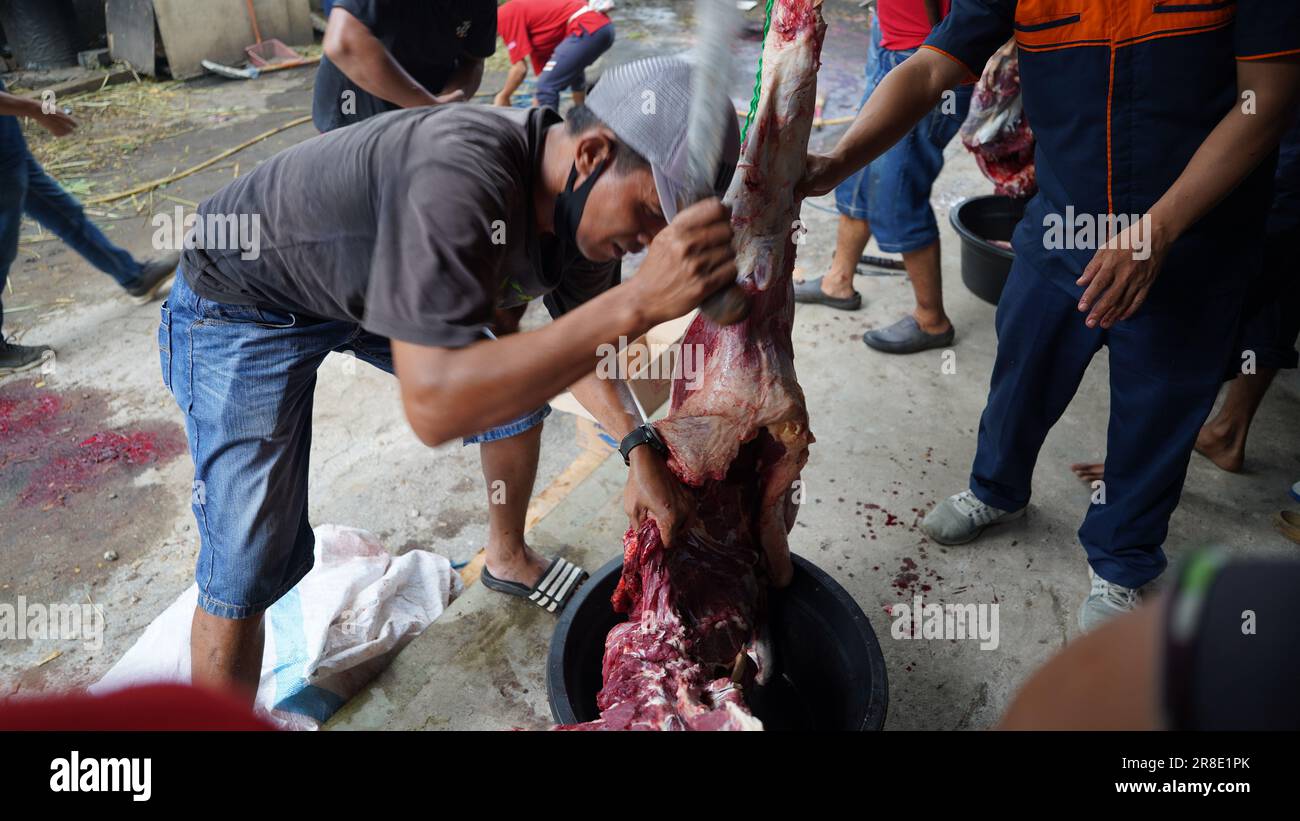 le processus de coupe de la viande sacrificielle pour chaque partie Banque D'Images