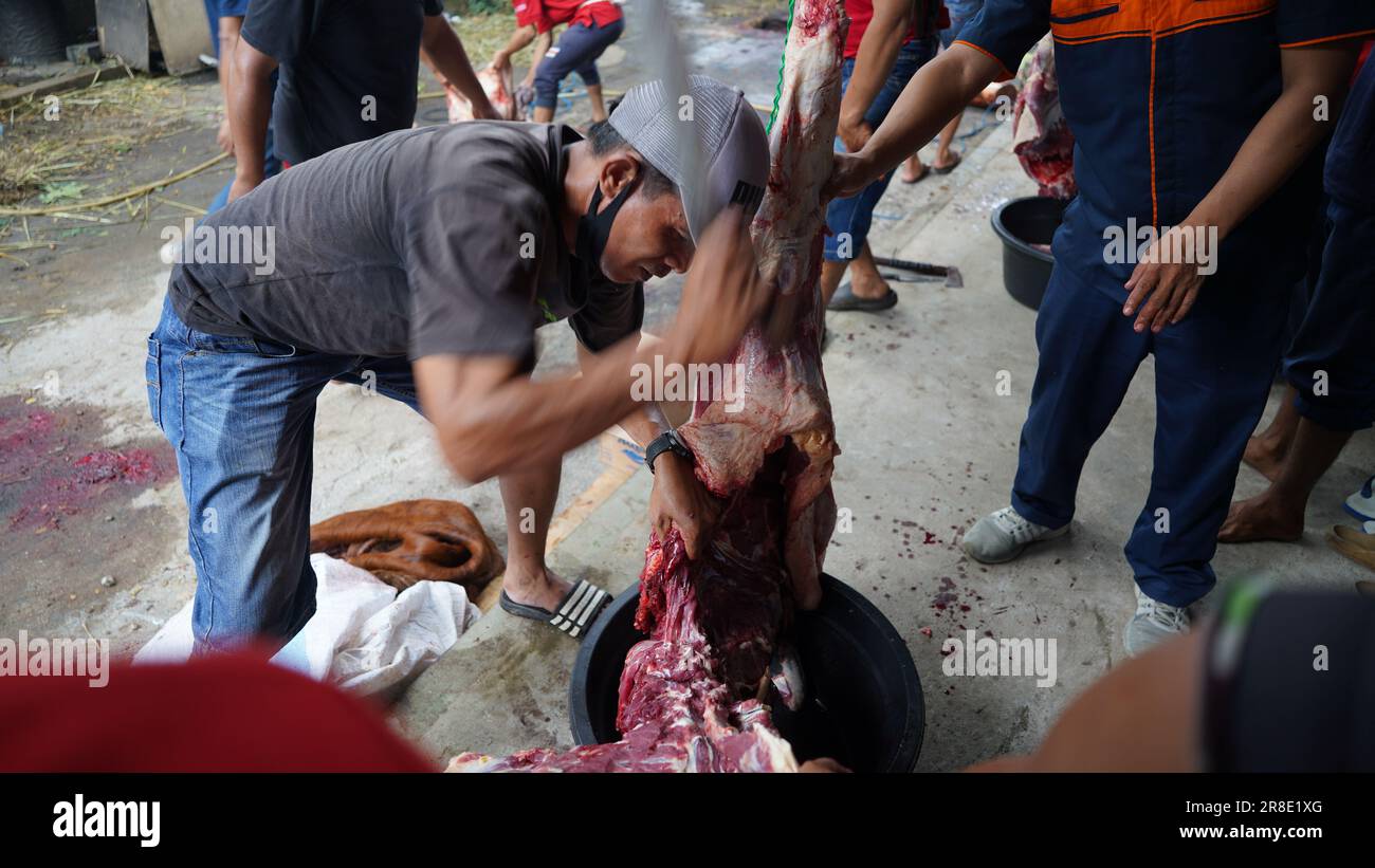 le processus de coupe de la viande sacrificielle pour chaque partie Banque D'Images