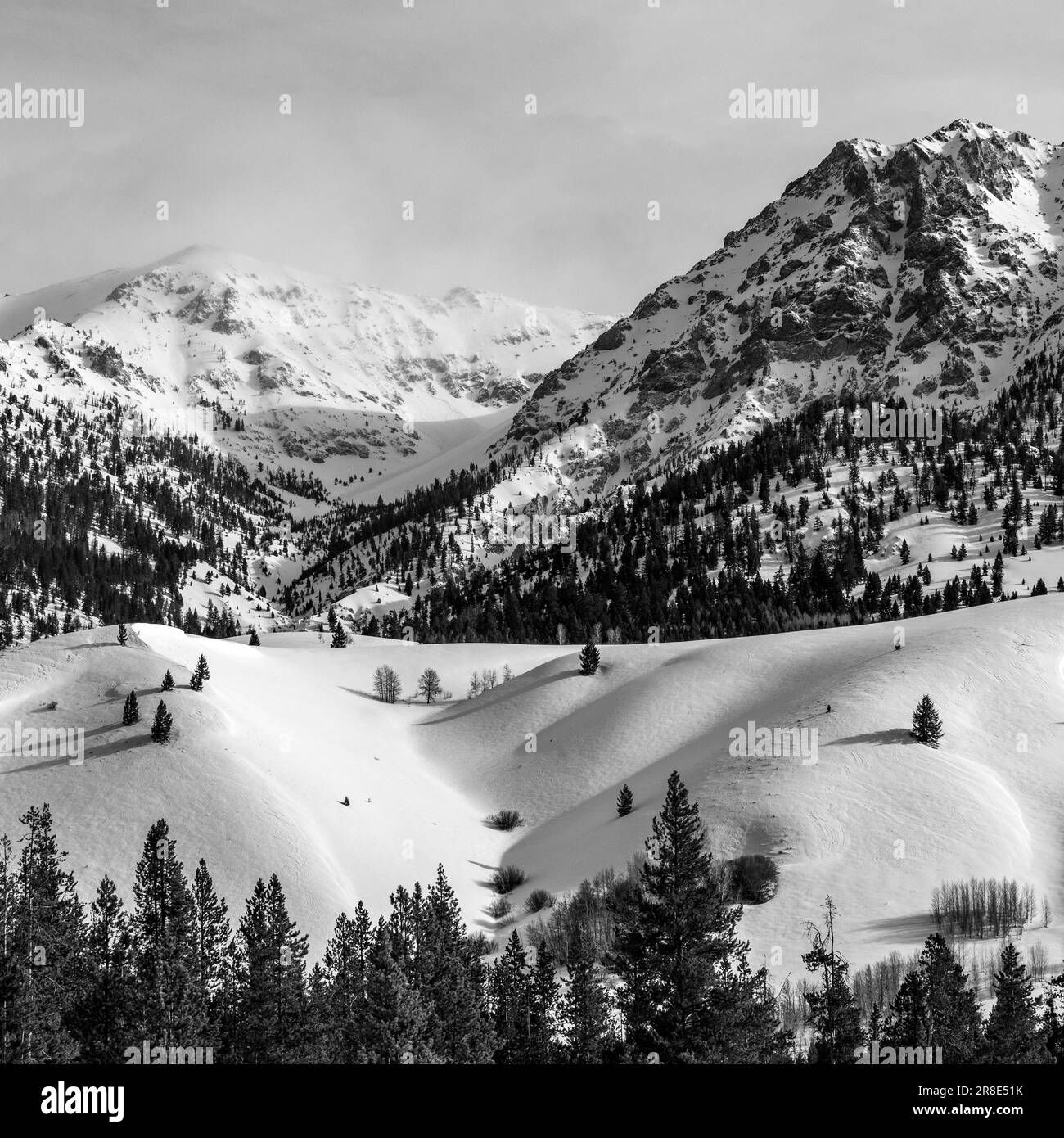 États-Unis, Idaho, Sun Valley, montagnes enneigées avec forêts Banque D'Images