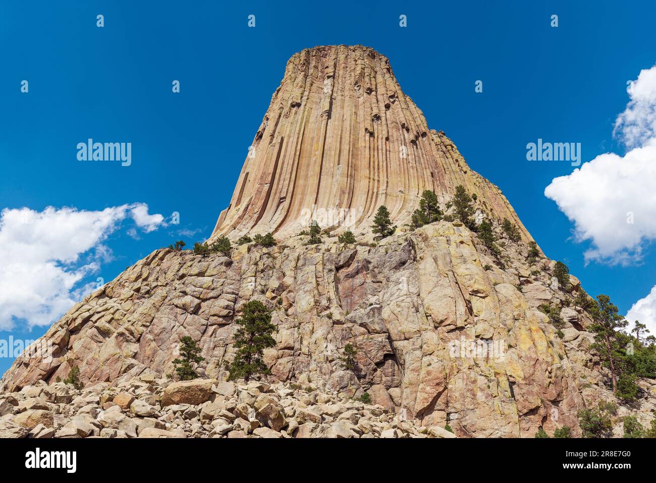 Devils Tower formation rocheuse en été, monument national de Devils Tower, Wyoming, États-Unis. Banque D'Images