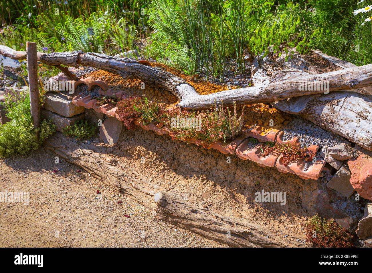 Mur de rafle avec matériel de nidification pour les abeilles sauvages dans le jardin naturel entouré de fleurs sauvages, trous de guêpe dans un mur de boue Banque D'Images