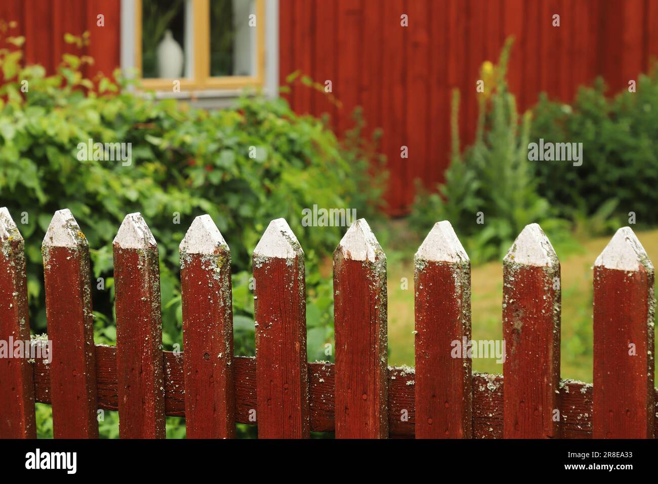 Charmante clôture en bois rouge avec dessus blanc en face de la maison avec jardin. Banque D'Images