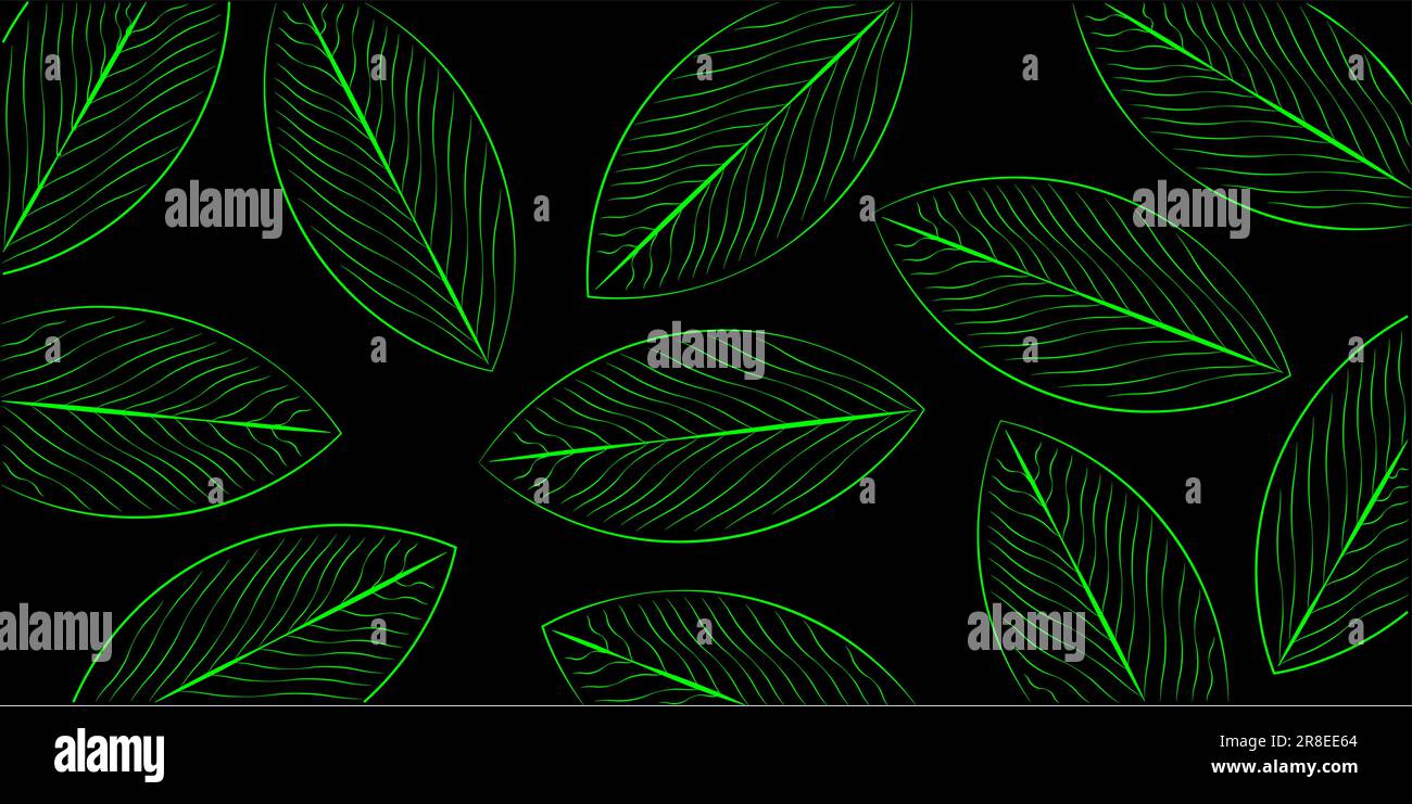 Vector résumé fond vert clair feuilles de néon sur fond noir. eps10 Illustration de Vecteur
