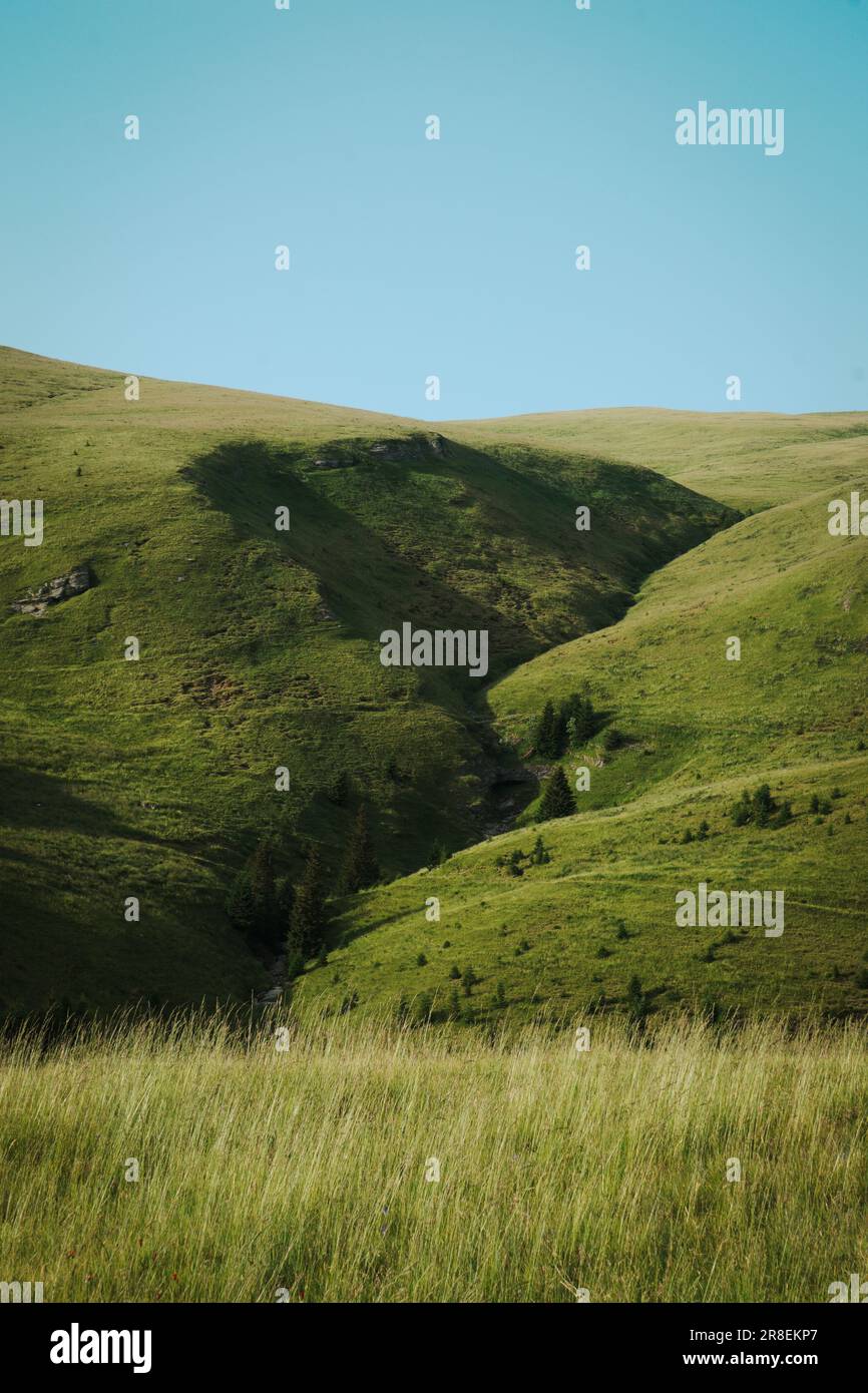 Montagne verte ensoleillée Banque D'Images