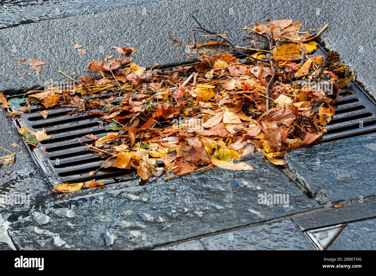 Les feuilles bloquent un drain à la suite d'une forte tempête, Queen Street, Auckland, Nouvelle-Zélande Banque D'Images