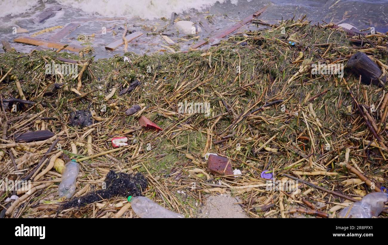 Un gros plan des débris flottants a atteint les plages de la mer Noire à Odessa, en Ukraine. Catastrophe environnementale causée par l'explosion de Kakhovka Banque D'Images