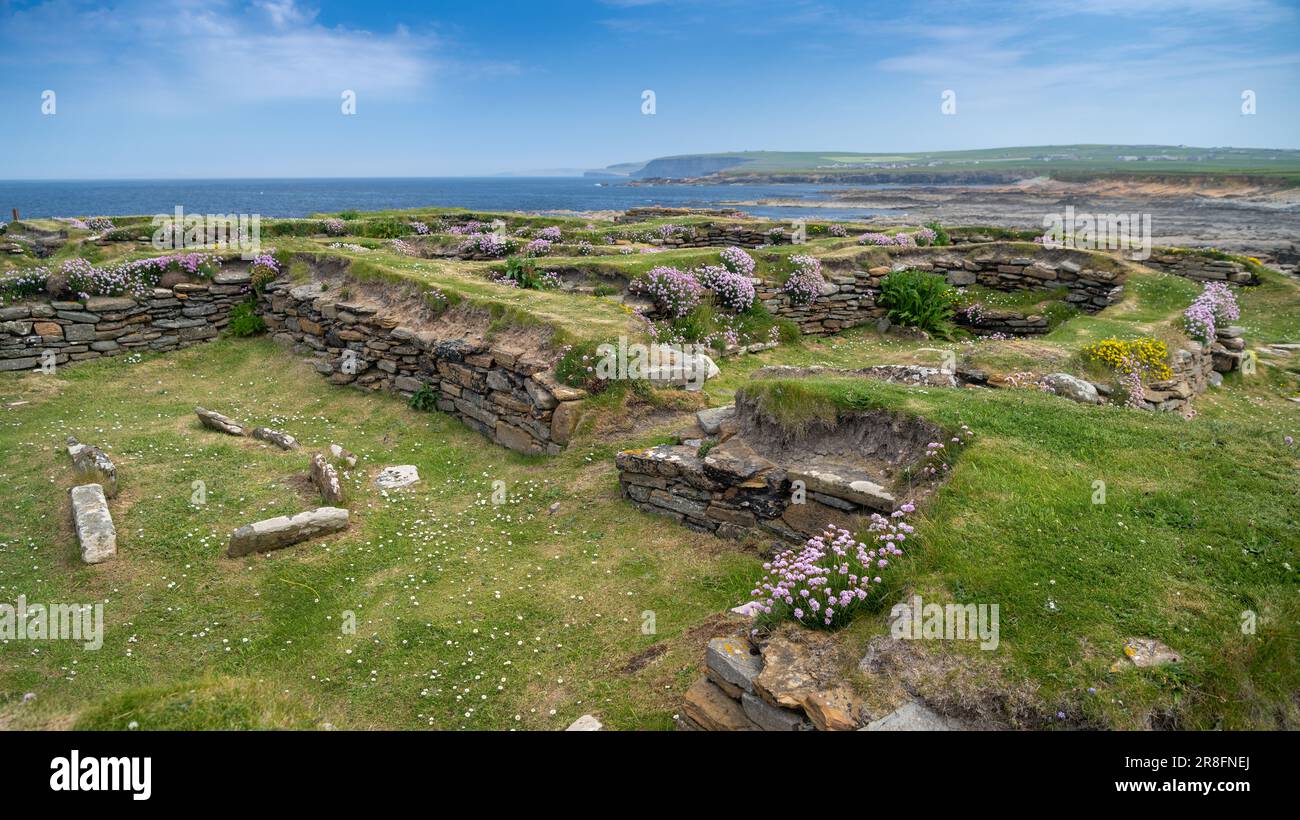 Vestiges de la colonie normande sur le Brough de Birsay, une île marémotrice inhabitée au large de la côte nord-ouest du continent d'Orkney, en Écosse. Banque D'Images