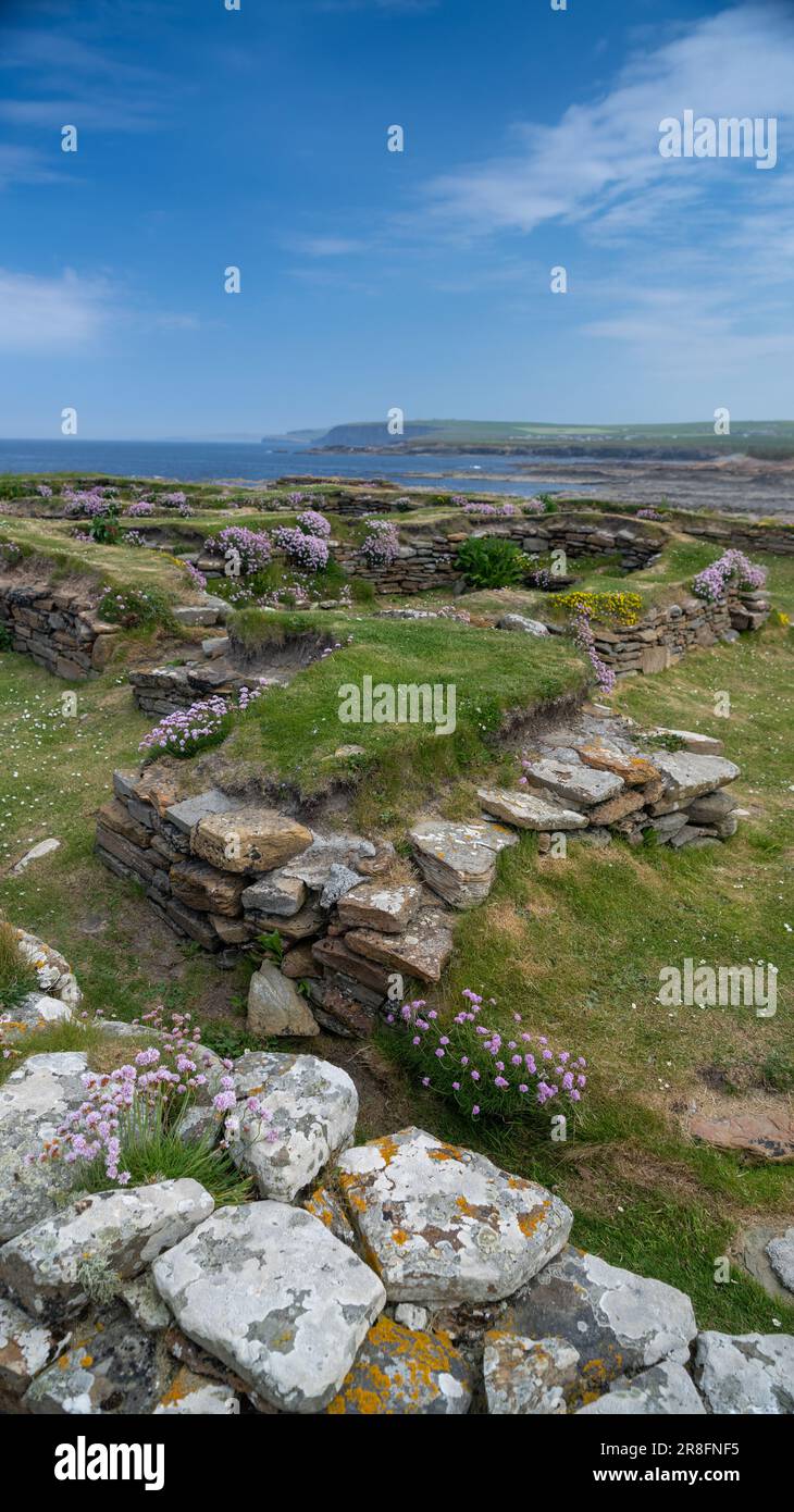 Vestiges de la colonie normande sur le Brough de Birsay, une île marémotrice inhabitée au large de la côte nord-ouest du continent d'Orkney, en Écosse. Banque D'Images