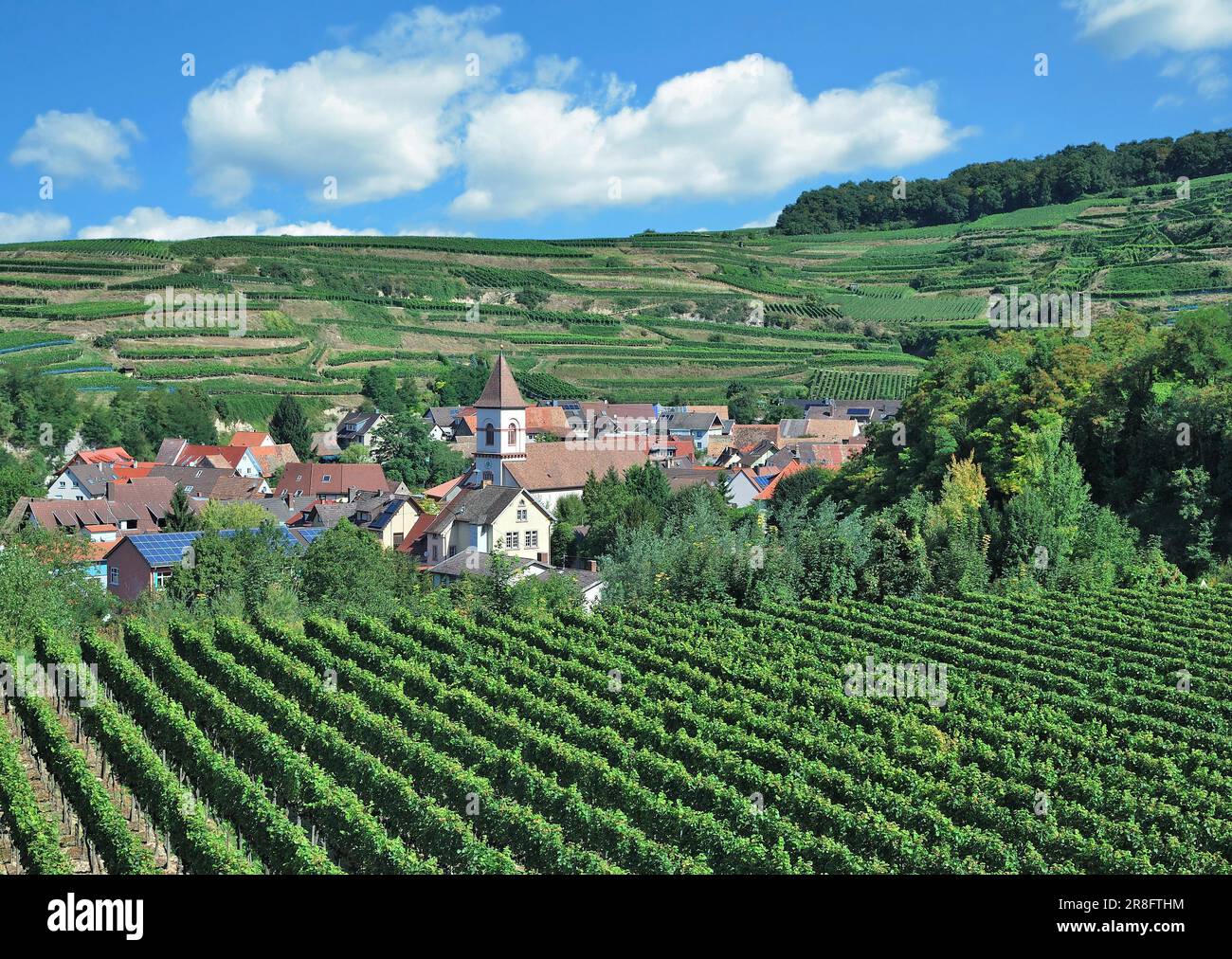 Village viticole Achkarren am Kaiserstuhl, Forêt Noire, Bade-Wurtemberg, Allemagne Banque D'Images