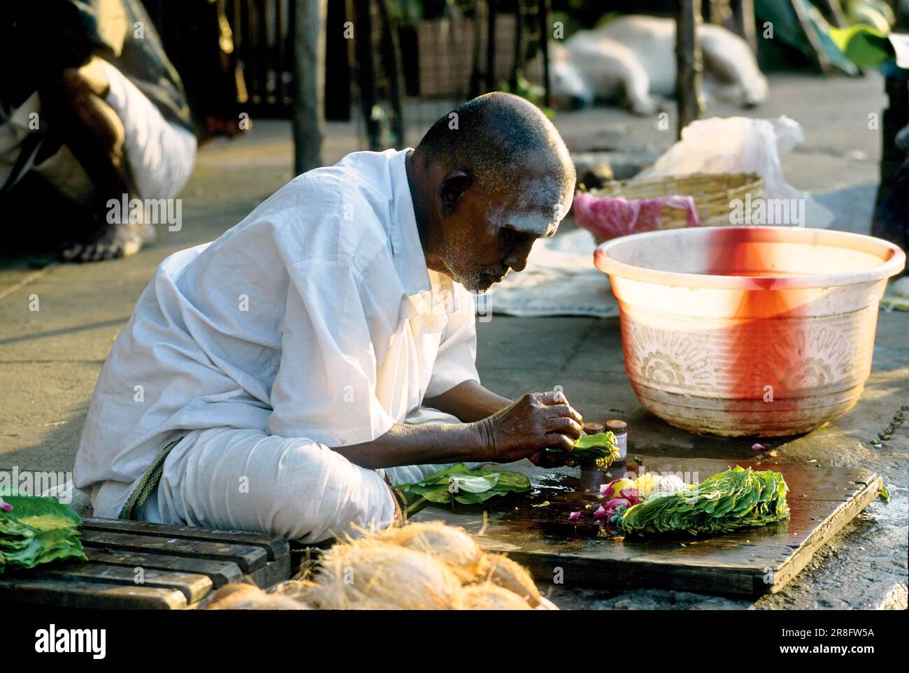 Vendeur de feuilles de bétel devant le temple de Kapaleeswarar à Mylapore, Chennai, Tamil Nadu, Inde, Asie Banque D'Images