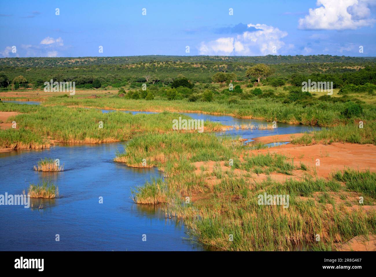 Rivière Letaba, parc national Kruger, Afrique du Sud Banque D'Images