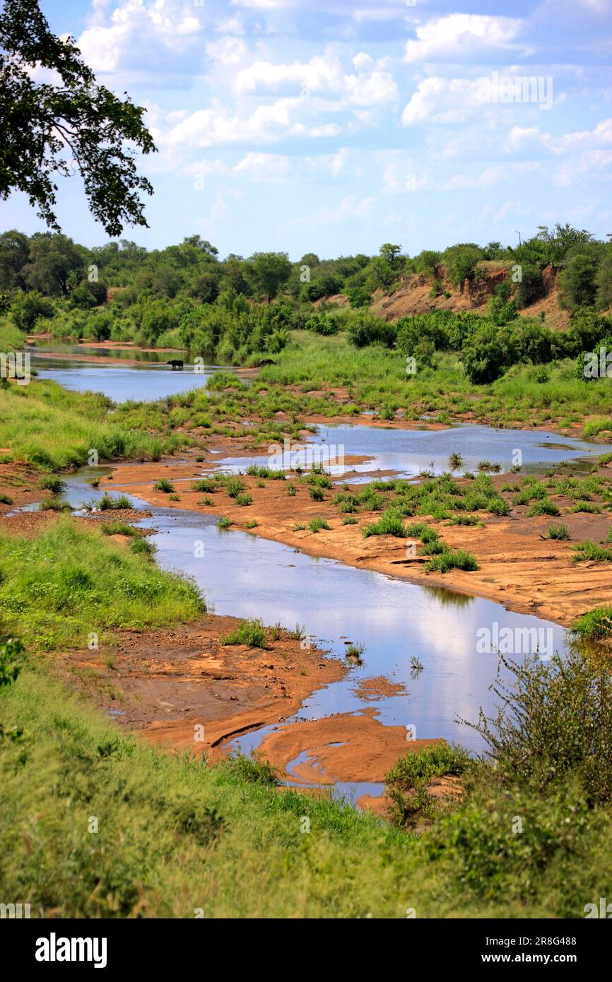 Olifants River, Kruger National Park, Afrique du Sud Banque D'Images