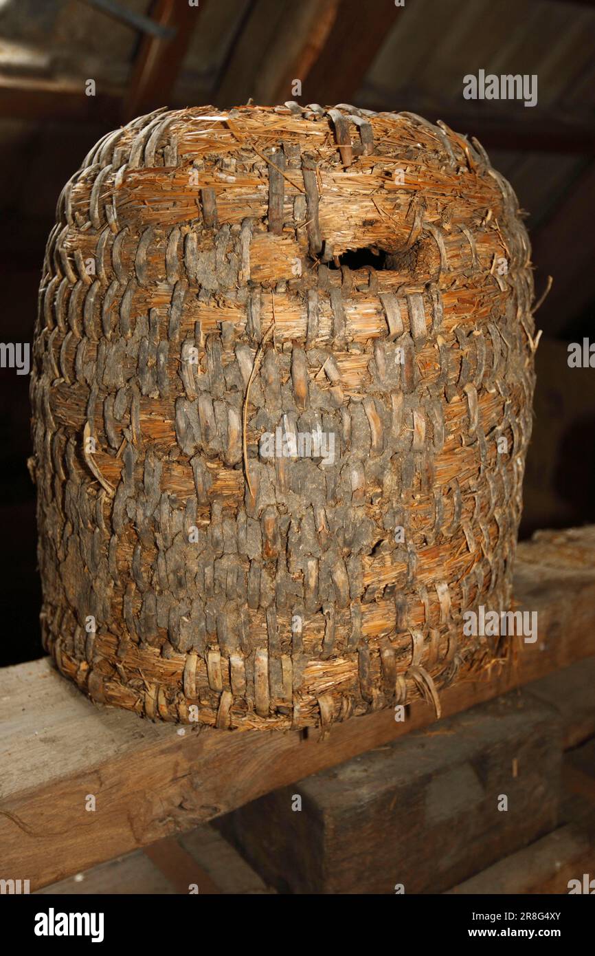 Beehive, Steinhof Estate, Basse-Saxe, Beeeping, Allemagne Banque D'Images