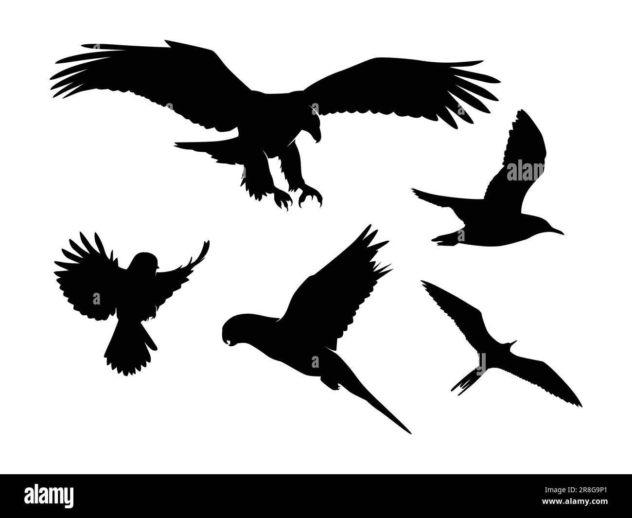 Ensemble d'oiseaux Silhouette isolé sur fond blanc - Illustration vectorielle Illustration de Vecteur