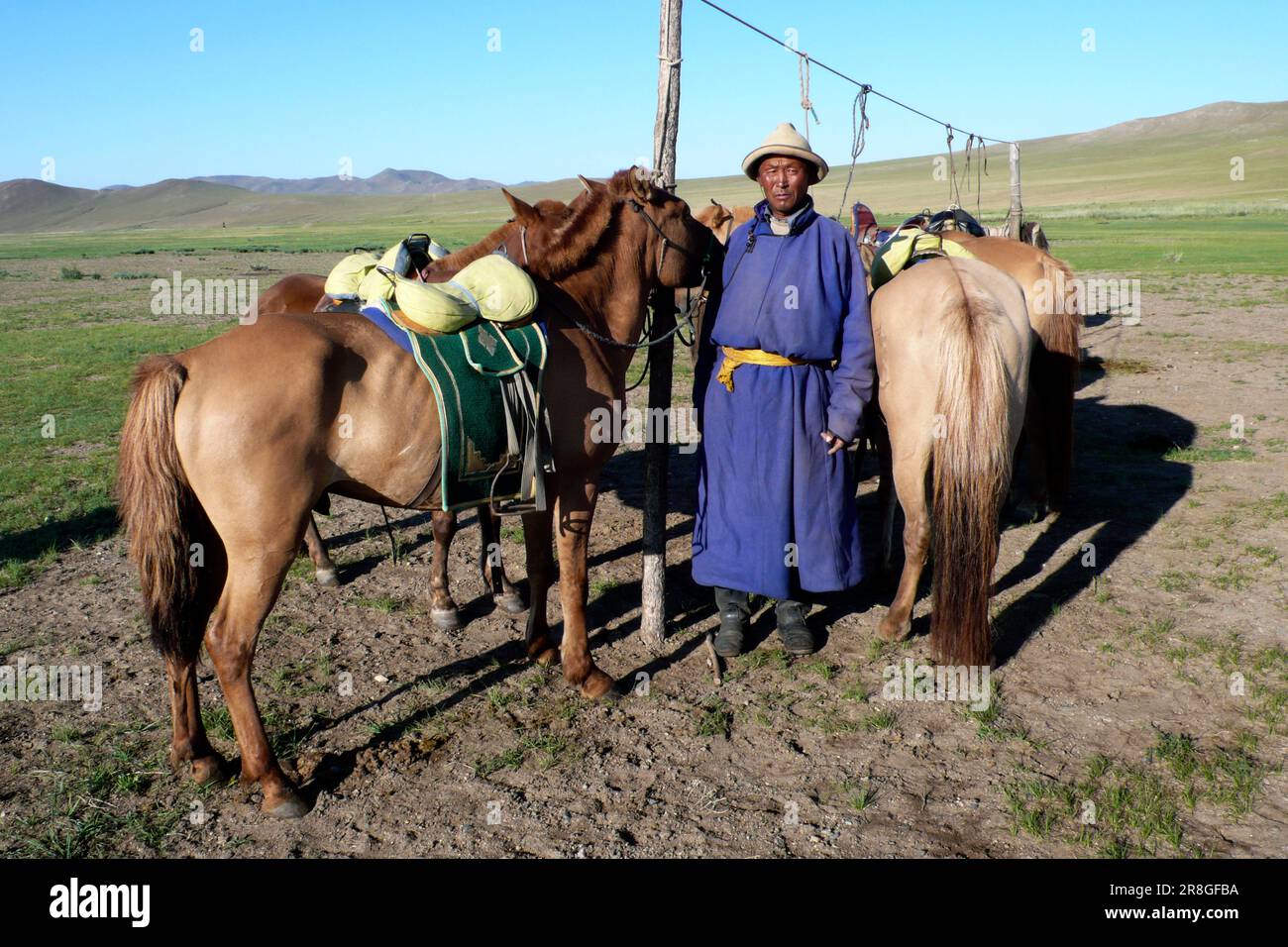 Chevaux Breeder, Gun Galuut, Mongolie Banque D'Images