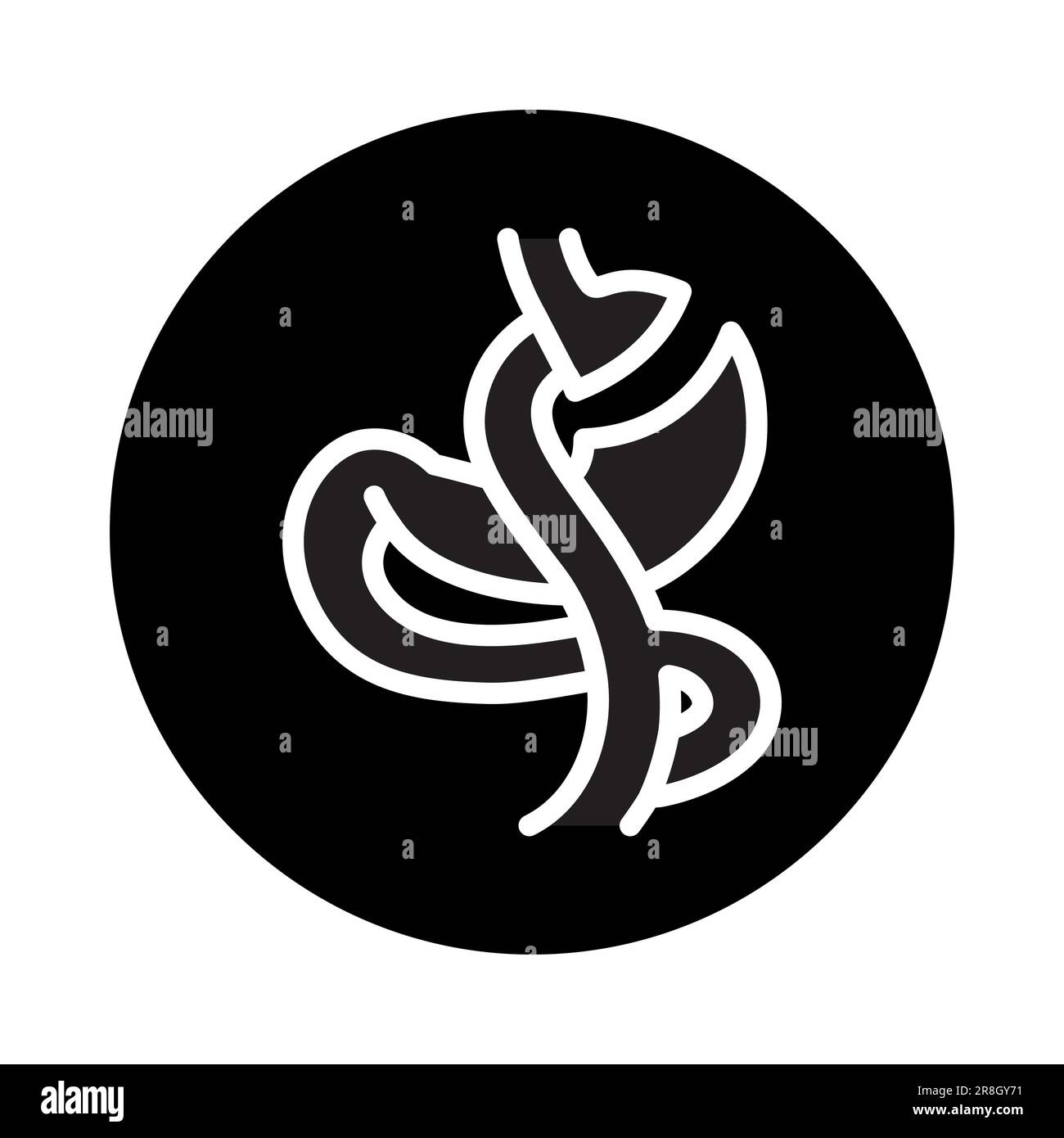 Roux en y gastric bypass Banque d'images vectorielles - Alamy