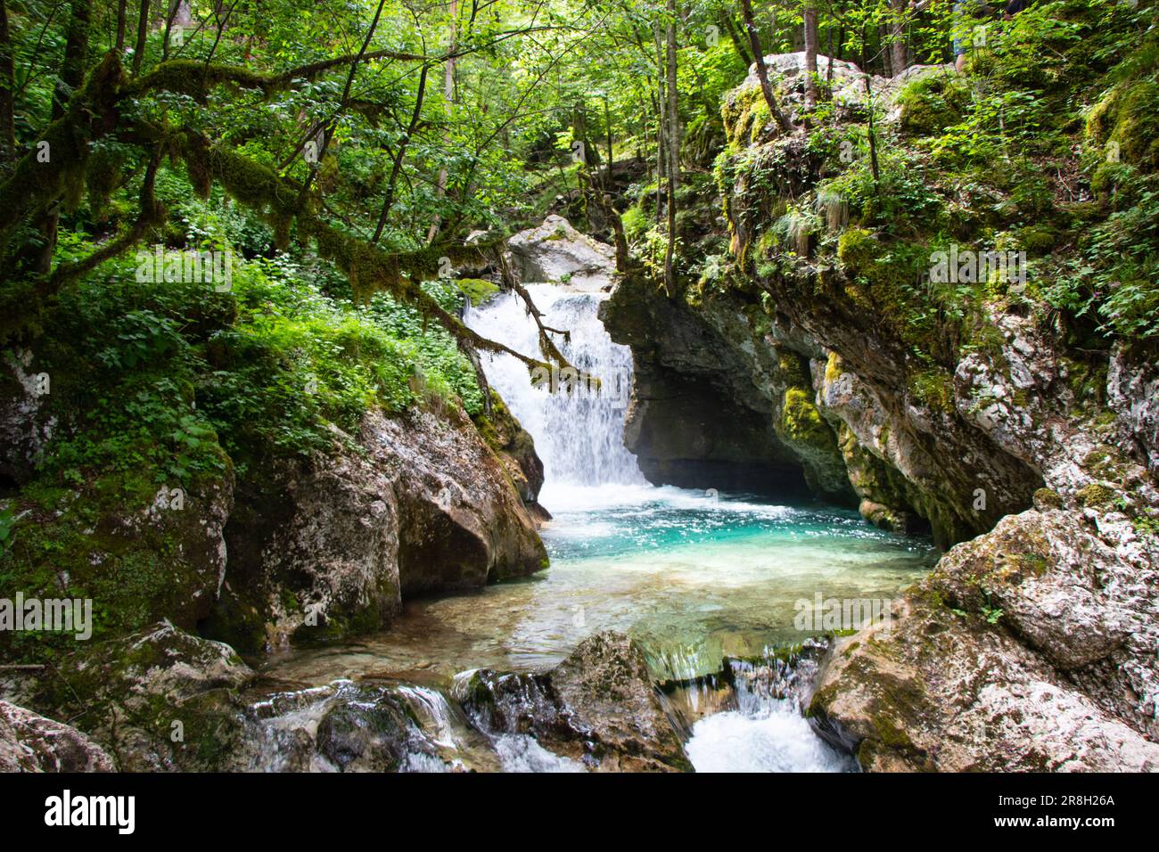 Randonnée dans la belle Sunik Water Grove en Slovénie Banque D'Images